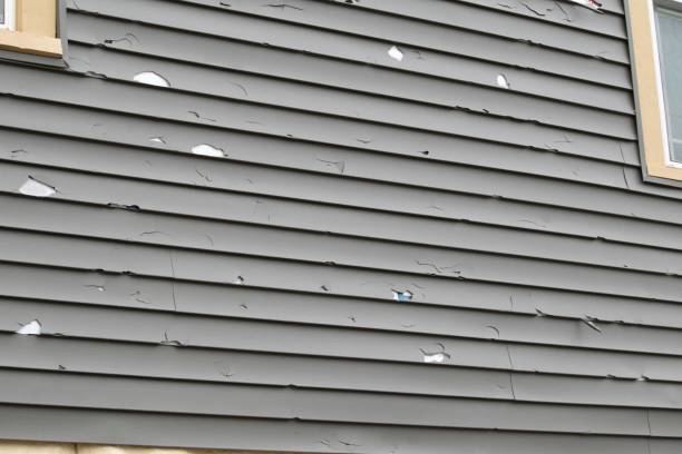 Best Custom Siding Design  in Farley, KY